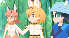 けものフレンズ２ アニメ動画見放題 Dアニメストア