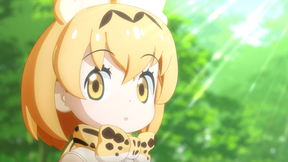 けものフレンズ２ アニメ動画見放題 Dアニメストア